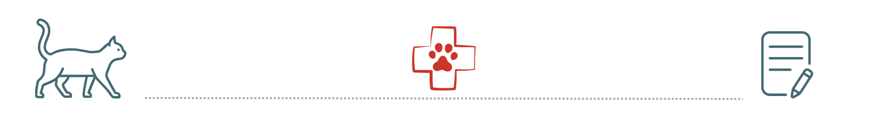 Cat and dog receiving veterinary care with pet insurance support at Colonial Animal Hospital in Fort Myers