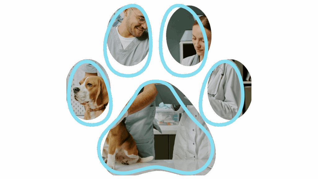 A beagle at a veterinary clinic, with two vets providing care, framed within a paw print outline.