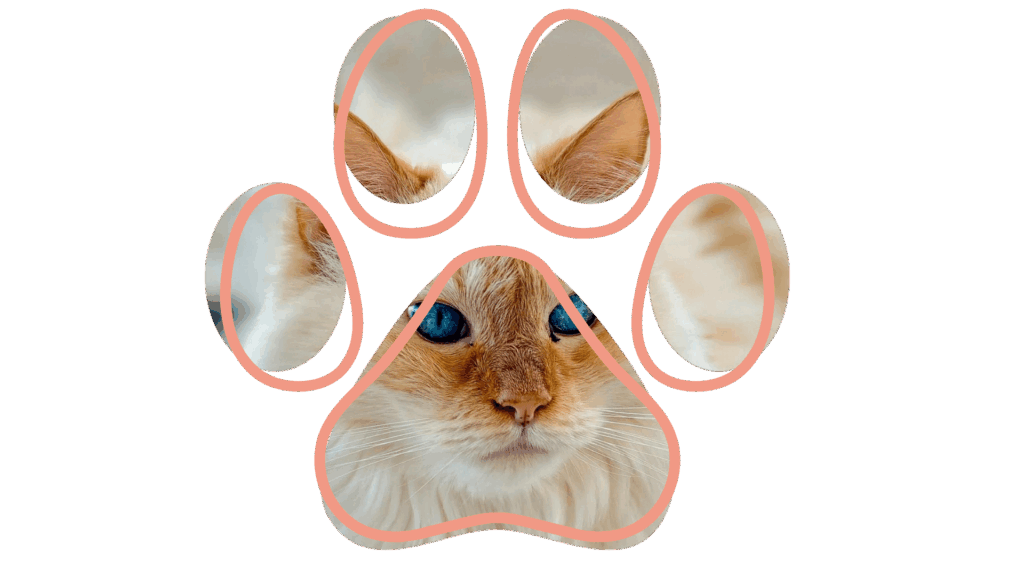 Cat face and ears visible within a paw-shaped design.
