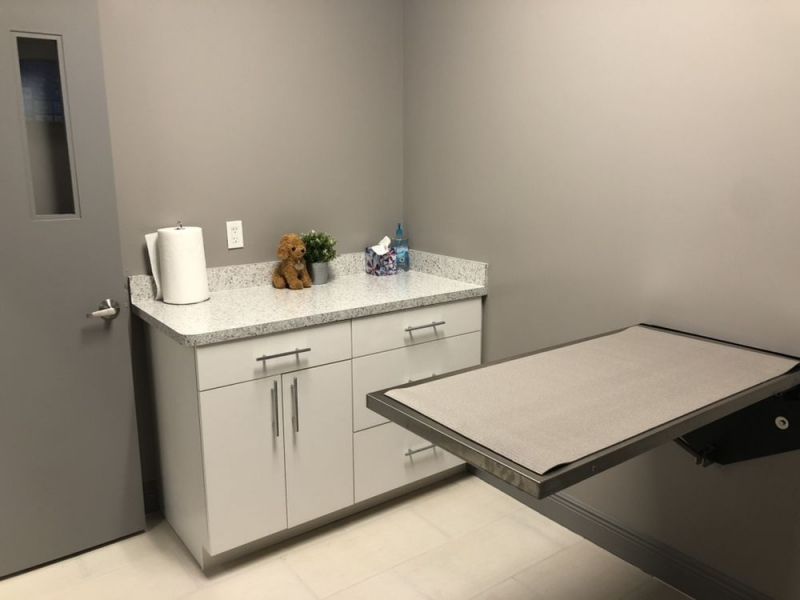 Veterinary exam room with a countertop, paper towels, a stuffed toy, and an examination table.