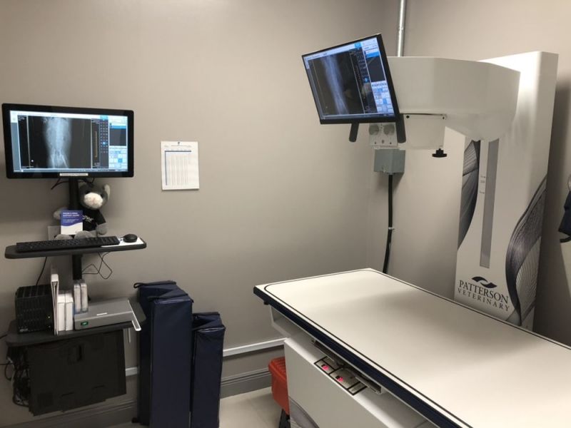 Veterinary X-ray room with a table, monitor displaying scans, and medical equipment.