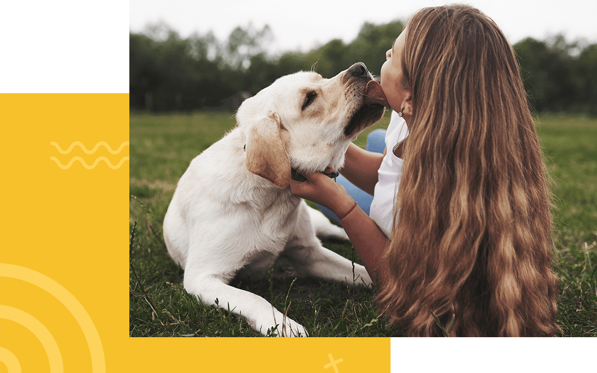 A girl with long hair kisses a yellow labrador on a grassy field.