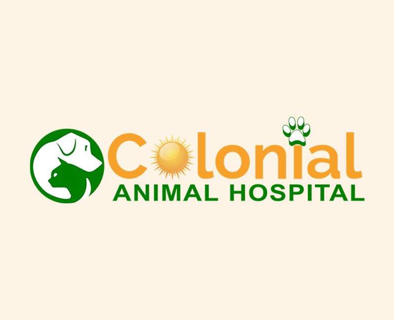 Logo for Colonial Animal Hospital with a sun and paw print.
