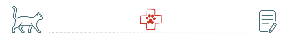 Silhouette of a cat, a red cross with a paw print, and a document with a pencil icon.