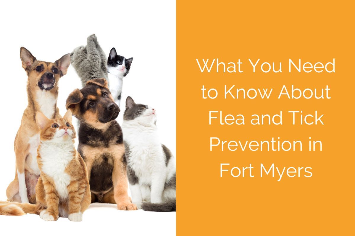 Group of assorted dogs and cats with a text about flea and tick prevention in Fort Myers.