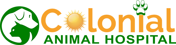 Colonial Animal Hospital logo with dog, cat, sun, and paw print elements.